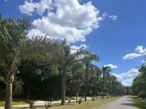 Barrio Santa Ana