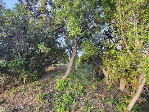 Terreno en Venta de 977,0 m2