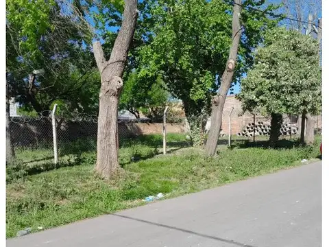 CALLE 369 Nª 1540