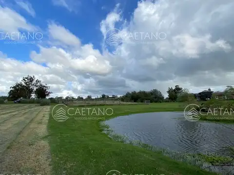 Terreno en Venta en Punta del Este, USD 89.000