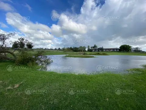 Terreno en el Quijote