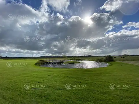 Terreno en Venta de 5000,0 m2