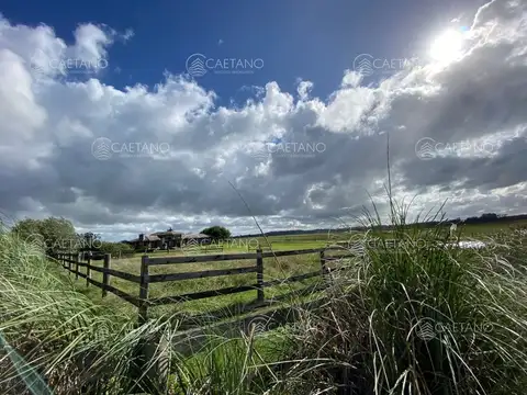 Terreno en el Quijote