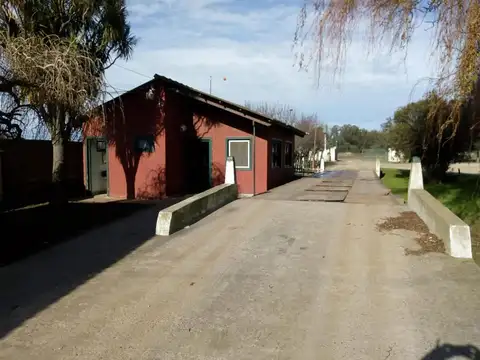 Campo en Venta de 2,70  ha
