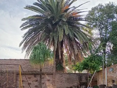 LA PAMPA 4600