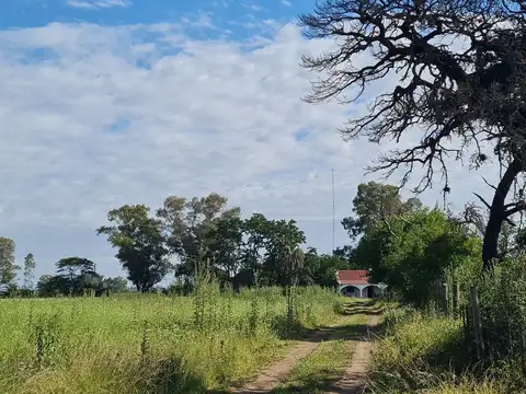 VENTA CHACRA VILLARS 11 HECTÁREAS  PERMUTA