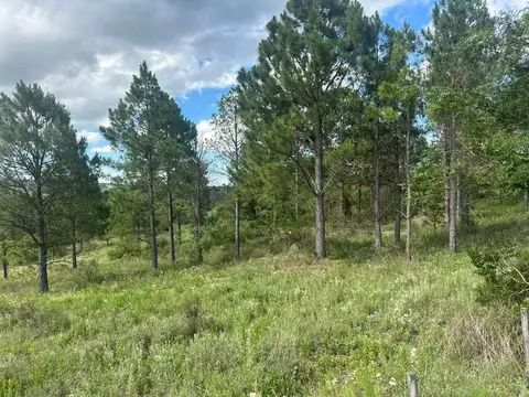 Terreno en Venta de 15121,0 m2