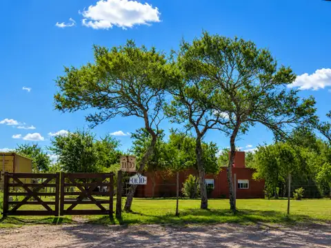 LOTE 12 100