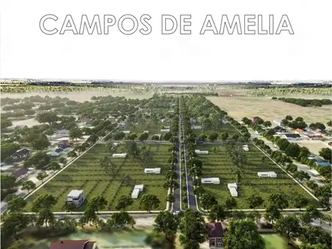 VENTA DE LOTES EN CAMPOS DE AMELIA RUTA 18 KM 11