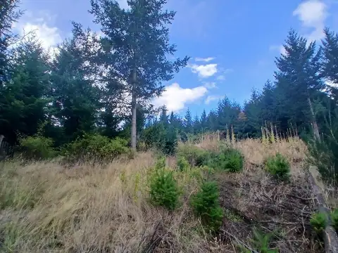 Terreno en VENTA . Lago Puelo