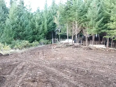 Cerro Radal.uf 2. Parcela 8. Cushamen