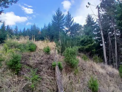 Terreno en Venta de 1469,0 m2