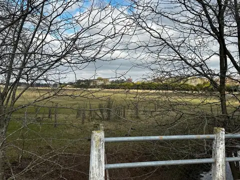 CAMPO DESARROLLO INMOBILIARIO EXALTACION DE LA CRUZ