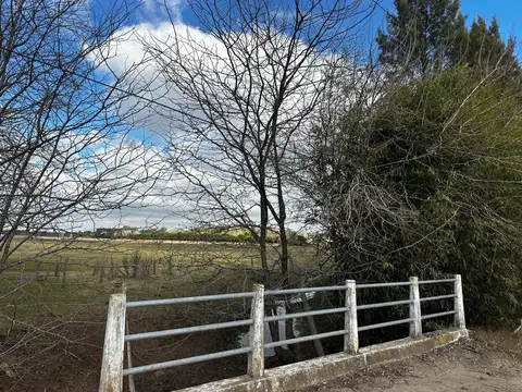Campo en Venta de 12  ha