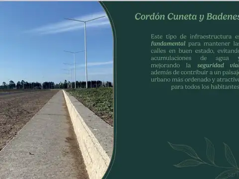Terreno en Venta de 318,0 m2