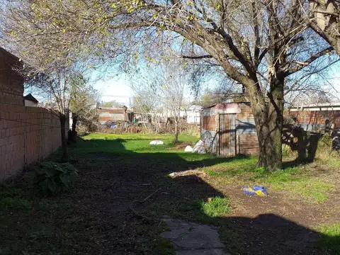 INMIGRANTES ARABES 300