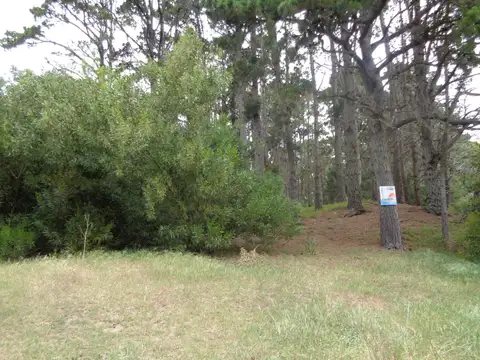 Lote Unifamiliar (L165)