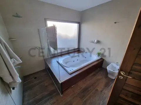 VENTA DE PROPIEDAD DE 90 HECTÁREAS CON RESIDENCIA, SECADERO Y PLANTACIONES, SAN RAFAEL MENDOZA.