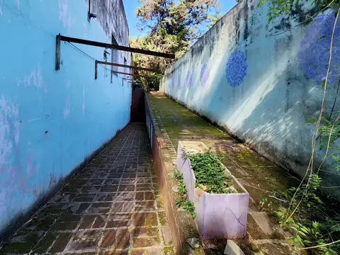 Las Magnolias 100