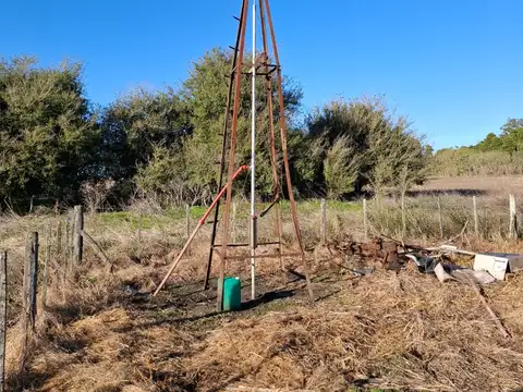 VENTA CAMPO- GENERAL MADARIAGA-KM 20 DE RUTA 74 CAMPO INTERNO-DOBLE PROPOSITO
