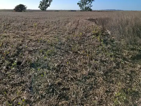 ruta 74  KM 20