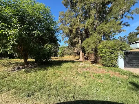 YAPEYU Y RAFAEL ARCOS, ALTOS DEL MONTE