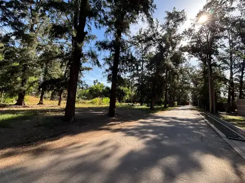 YAPEYU Y RAFAEL ARCOS, ALTOS DEL MONTE