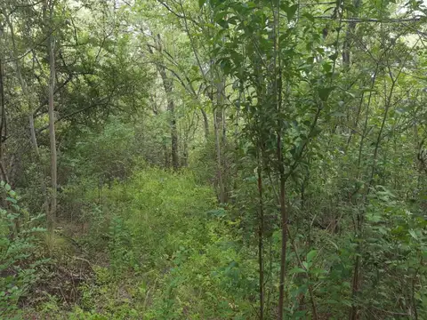 Terreno en Venta en San Esteban, USD 60.000