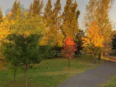 Chacras del Paraná 8