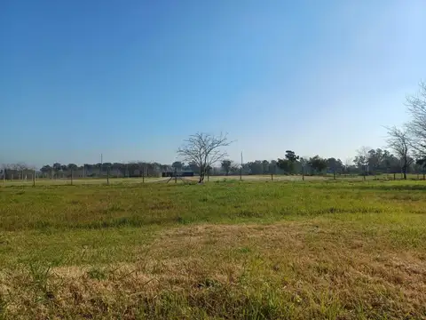 Terreno en Venta 33  mts Fondo