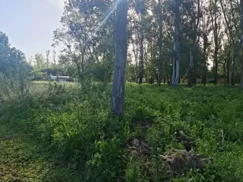 Terreno en Venta en Andino, Iriondo