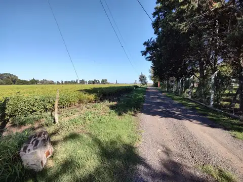 Campo - San Nicolas De Los Arroyos