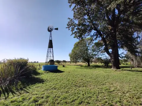 San Nicolás de los Arroyos