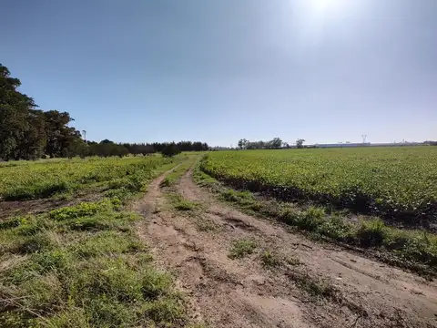 San Nicolás de los Arroyos