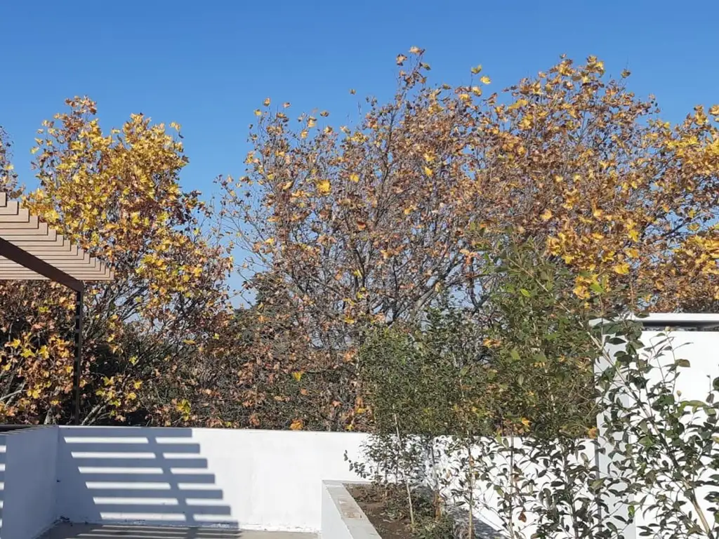 ESTANISLAO DEL CAMPO 1139 - Foto 11