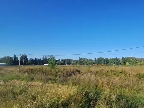 Terreno en Alquiler en Lujan de Cuyo, Luján de Cuyo