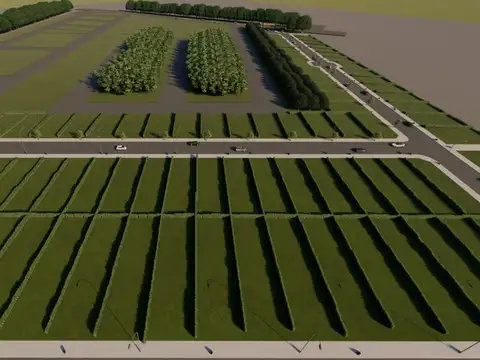 Parcelas para loteo en Valle de Uco , Mendoza (5 ha)