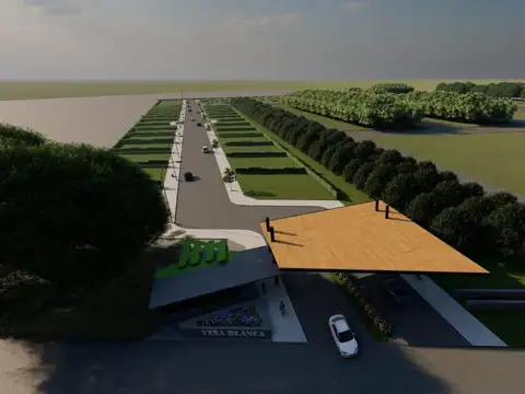 Parcela para loteo en Valle de Uco, Mendoza (5 ha)