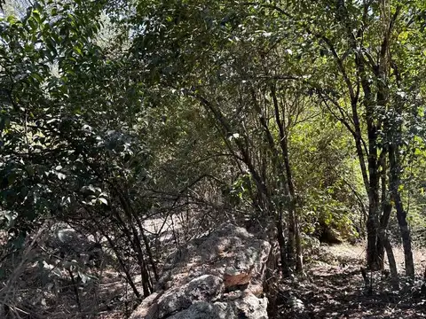 Potrero De Garay