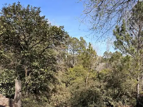 Terreno en Venta de 800,0 m2