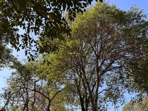 Terreno en Venta en Barrio Del Lago, USD 13.500