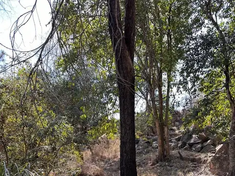 Terreno en Venta 40  mts Fondo