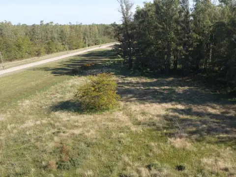 Terreno en Venta de 13365,0 m2