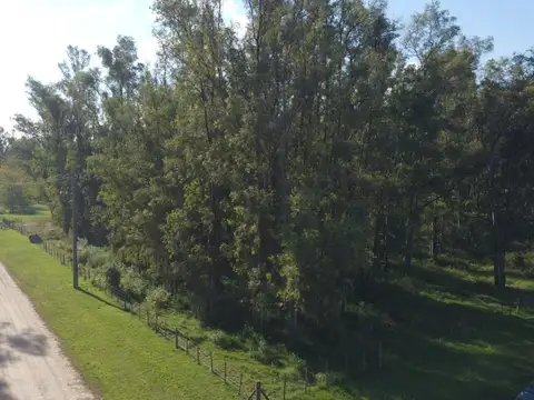 Unnamed Rd, Buenos Aires Pcia De Buenos Aires Arge