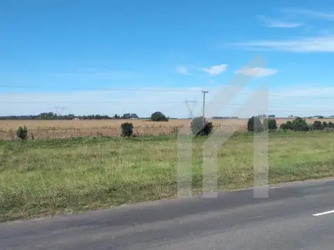 Ruta N° 193 Km. 28, Exaltación de la Cruz 100