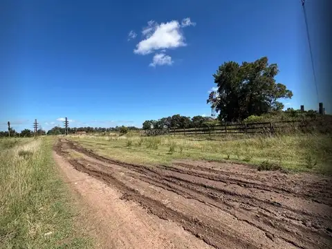 Campo en Venta en Chascomus, Partido de Chascomús