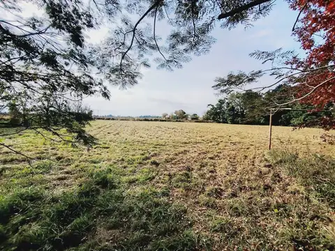 QUINTA EN VENTA SOBRE RUTA PROVINCIAL 2