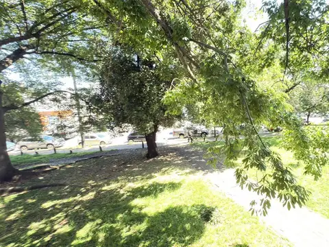 Juan Manuel de Rosas al 400