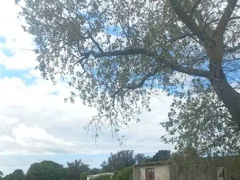 Oficina en Venta en Miramar, USD 7.000