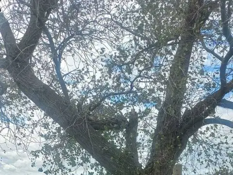 TRES DE FEBRERO , Piso 0